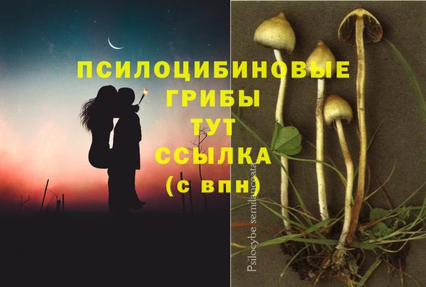 экстази Пролетарск