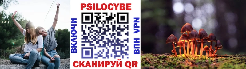 Псилоцибиновые грибы Magic Shrooms  Зеленоградск 